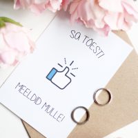 Õnnitluskaart volditav - Sa tõesti meeldid mulle