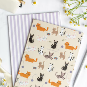 Bujo Pistevihko "Kitties & Happiness" (2 kpl)