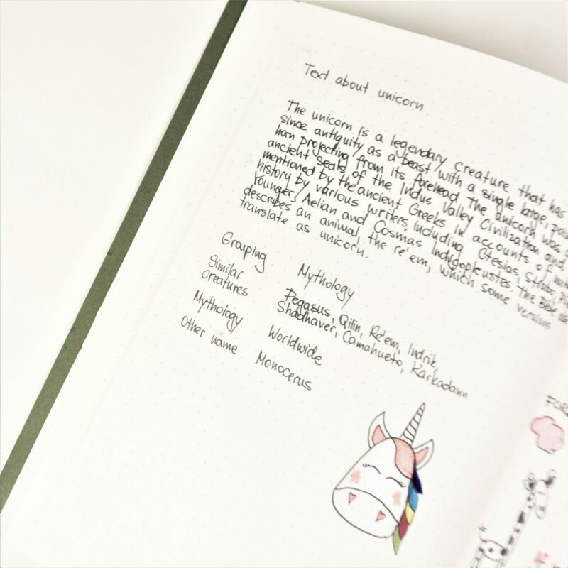 Bujo Pistevihko "More & More" (2 kpl) - Image 7
