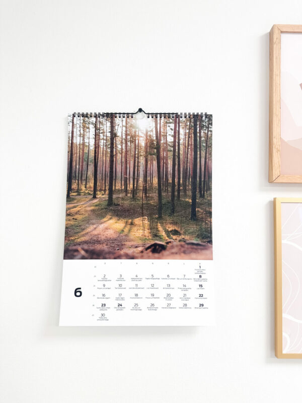 Tegude Kalender seinakalender 2025 - Loodus (A3)