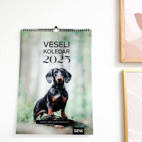 Veseli Koledar Psi 2025 - Stenski
