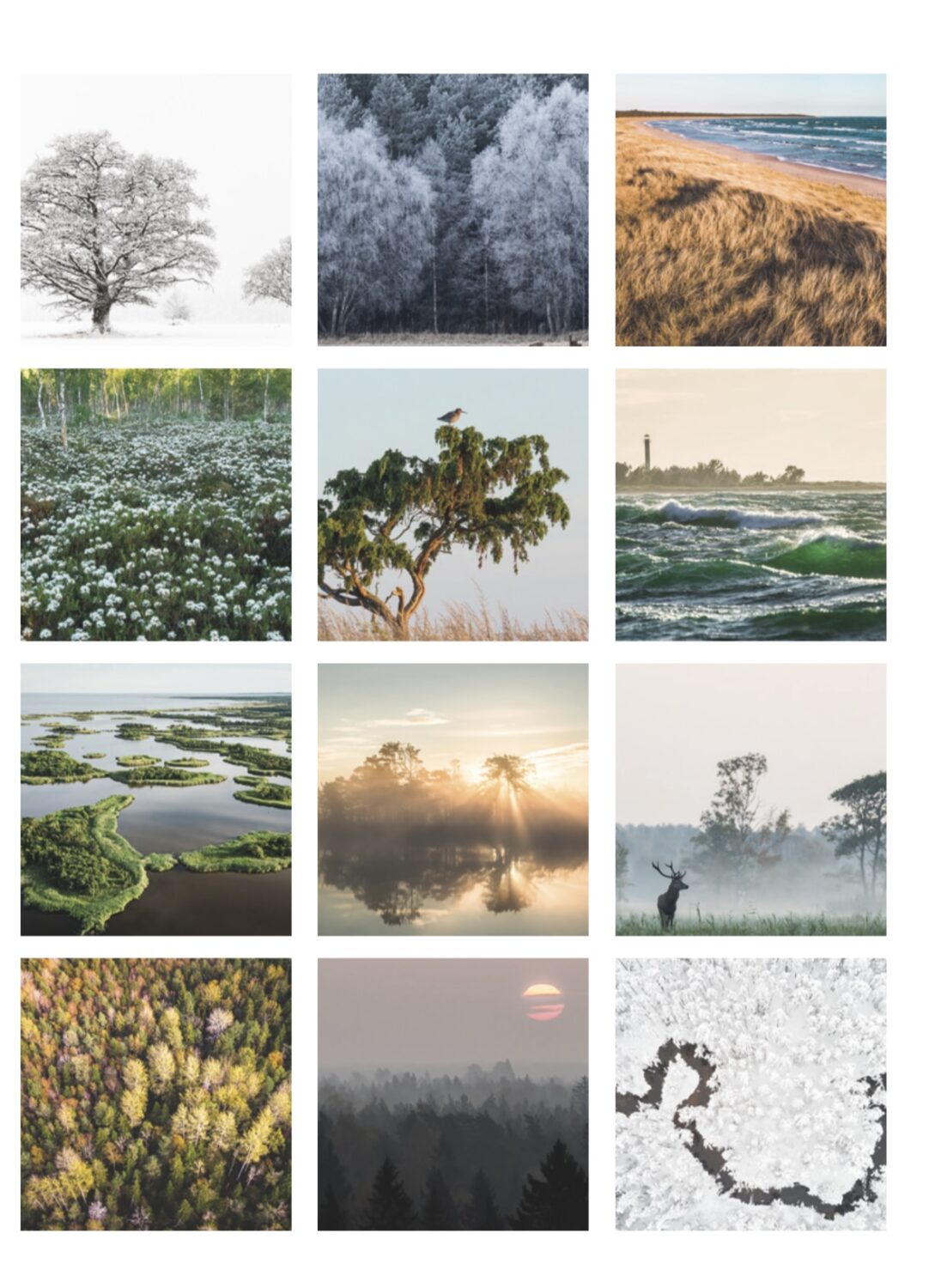 Tegude Kalender seinakalender 2026 - Eesti loodus (A3) - Image 13