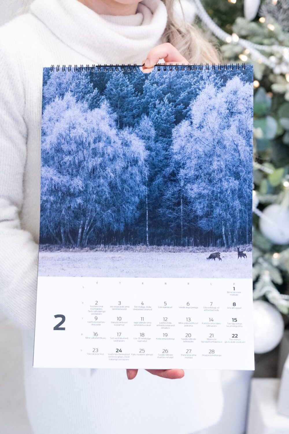 Tegude Kalender seinakalender 2026 - Eesti loodus (A3) - Image 3