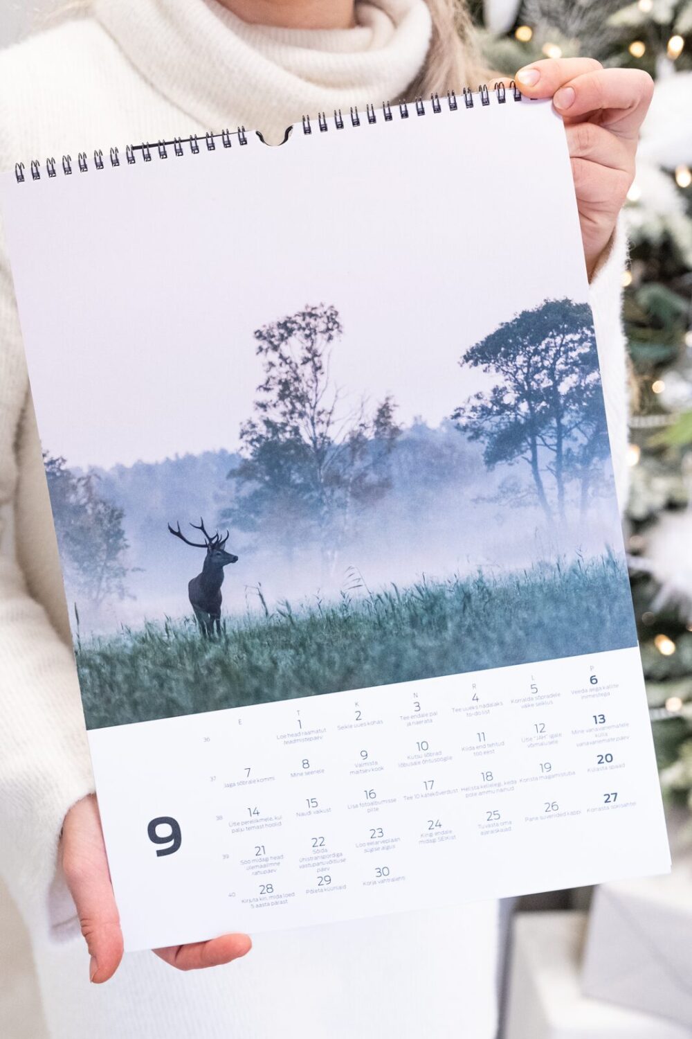 Tegude Kalender seinakalender 2026 - Eesti loodus (A3) - Image 4