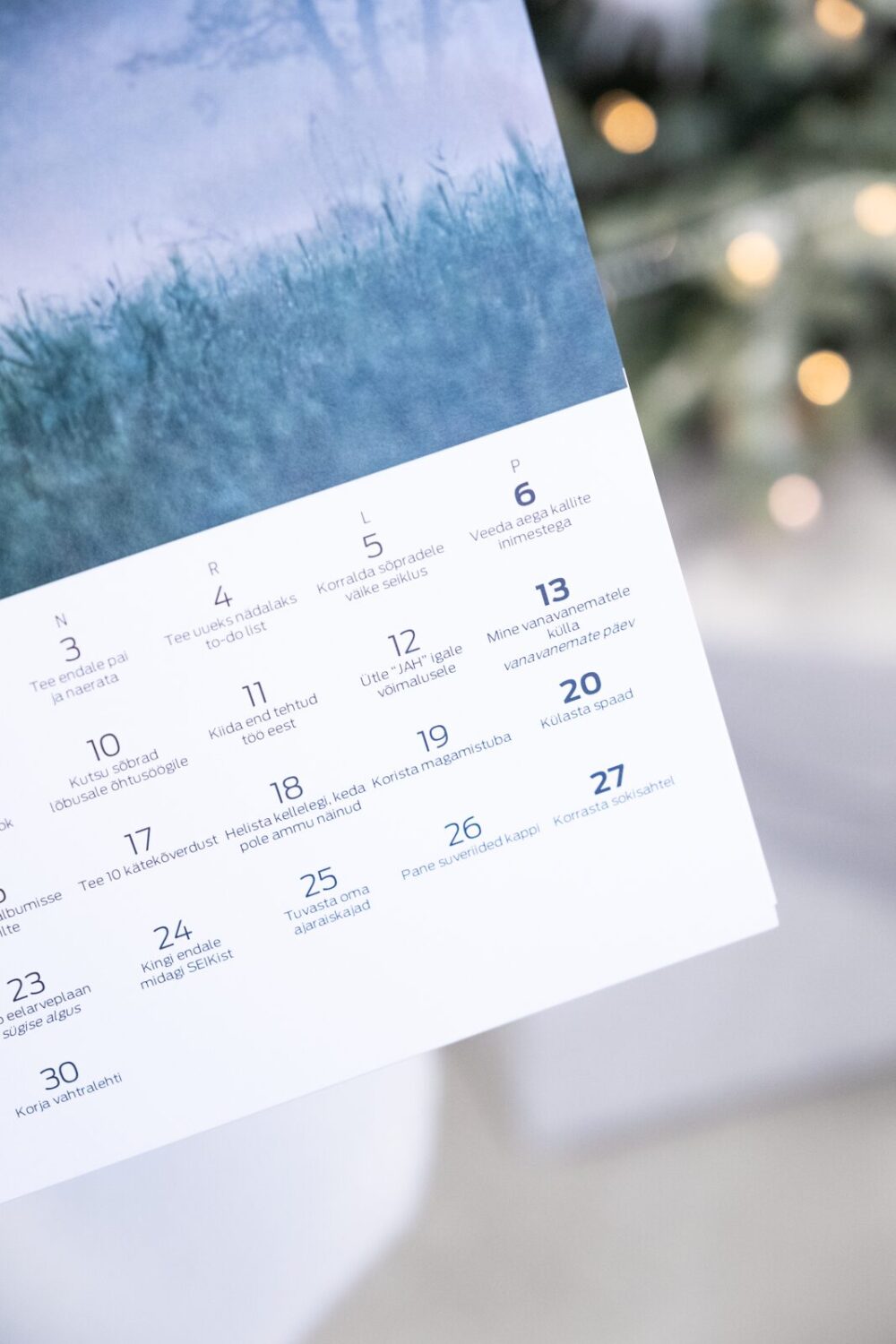 Tegude Kalender seinakalender 2026 - Eesti loodus (A3) - Image 7