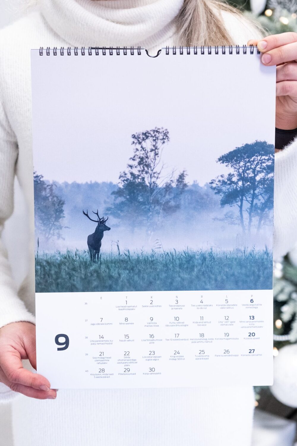 Tegude Kalender seinakalender 2026 - Eesti loodus (A3) - Image 14