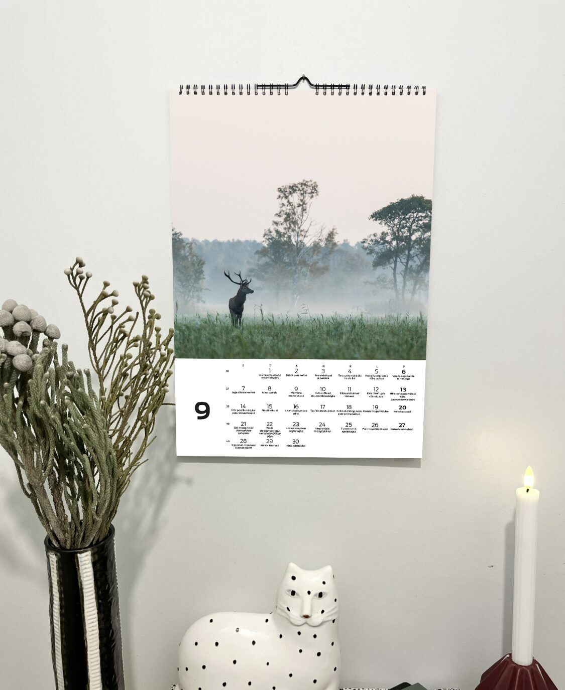 Tegude Kalender seinakalender 2026 - Eesti loodus (A3) - Image 11
