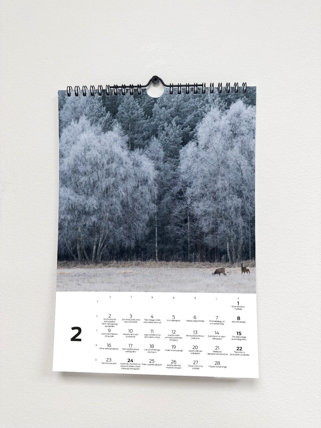 Tegude Kalender seinakalender 2026 - Eesti loodus (A3) - Image 9