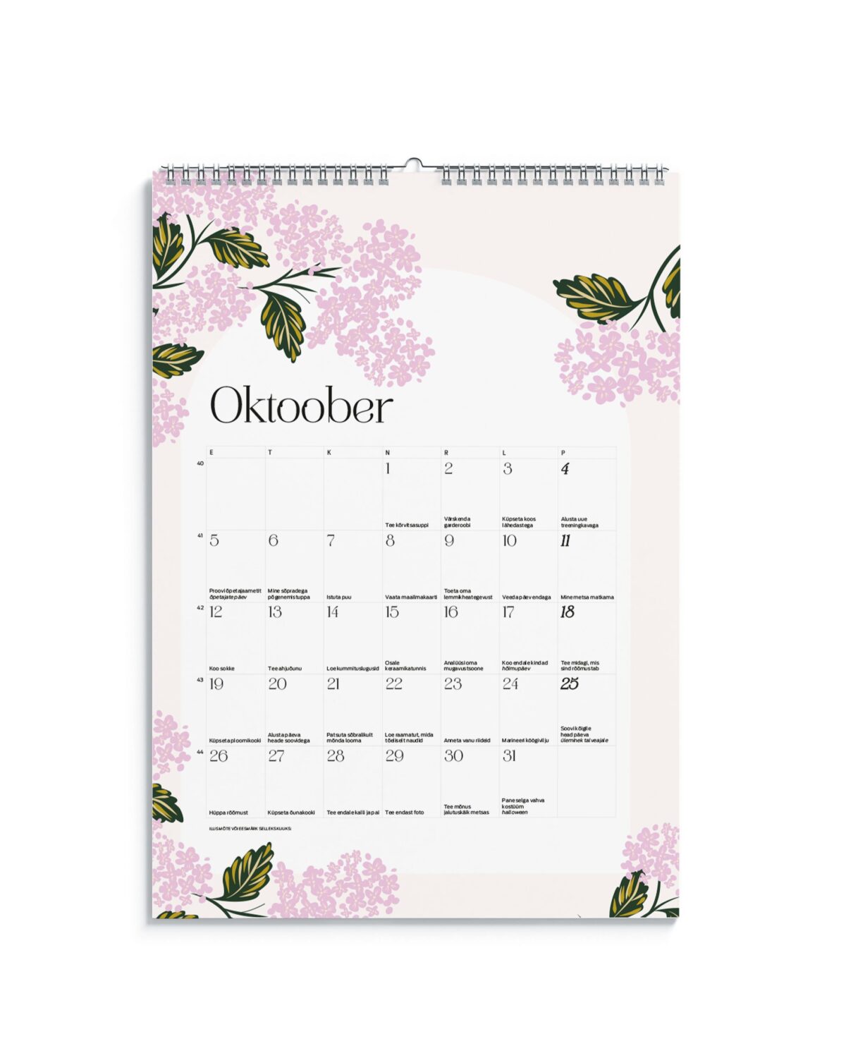Tegude Kalender seinakalender 2027 - lillede lummuses (A3) - Pilt 12